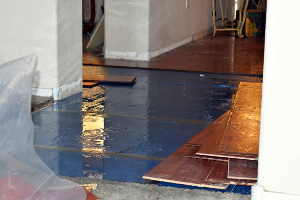 Professional Burst Pipe Cleanup technician working in Idalou, TX